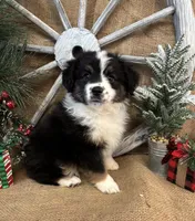 processed/f764a1d2-b8ed-4850-a5fe-d9f28c50df37/listing/fb9643c6-be42-45ee-ba28-063ba0b0cb3f/497bb962-ab1f-4cb3-999b-6e5fb764a596