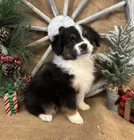 processed/f764a1d2-b8ed-4850-a5fe-d9f28c50df37/listing/fb9643c6-be42-45ee-ba28-063ba0b0cb3f/6c480b10-2465-45b3-b4e5-e1f1d87d0fef