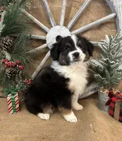 processed/f764a1d2-b8ed-4850-a5fe-d9f28c50df37/listing/fb9643c6-be42-45ee-ba28-063ba0b0cb3f/7b7908bd-42ef-4f14-901b-b6b2380ad94a