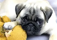 processed/f7686727-efe6-4897-af09-9cd39ef6531f/facility/27f26452-3daf-4b2e-91a1-973fecc3cdfe