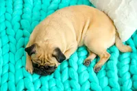 processed/f7686727-efe6-4897-af09-9cd39ef6531f/facility/48fcfa36-360b-41e9-8666-4e082181ac02