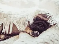 processed/f7686727-efe6-4897-af09-9cd39ef6531f/facility/c7e84ea1-d979-495e-95ec-6d5fa40d5d07