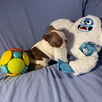 processed/f772d50e-a9ac-4998-8e29-d4d0b167a4e0/listing/349ad4c8-bce1-4356-87e1-732cd5780c6d/24155a98-74cc-4994-9577-99e9f5ebce27