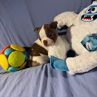 processed/f772d50e-a9ac-4998-8e29-d4d0b167a4e0/listing/349ad4c8-bce1-4356-87e1-732cd5780c6d/3810c7fc-cccb-43ad-b8bd-81f9d02620df