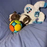 processed/f772d50e-a9ac-4998-8e29-d4d0b167a4e0/listing/349ad4c8-bce1-4356-87e1-732cd5780c6d/429c456f-7a1c-433c-9fdd-99eadffd698d