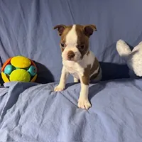 processed/f772d50e-a9ac-4998-8e29-d4d0b167a4e0/listing/349ad4c8-bce1-4356-87e1-732cd5780c6d/4731d4c1-0c77-4921-a5ed-b8194df1c40e