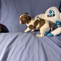 processed/f772d50e-a9ac-4998-8e29-d4d0b167a4e0/listing/349ad4c8-bce1-4356-87e1-732cd5780c6d/484b8d14-d212-4cd7-b68d-27bde3fc6a88