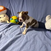 processed/f772d50e-a9ac-4998-8e29-d4d0b167a4e0/listing/349ad4c8-bce1-4356-87e1-732cd5780c6d/55940e5a-99f4-4471-b092-65c6f9b191c0