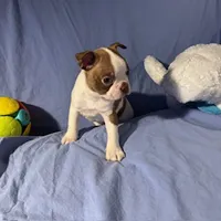 processed/f772d50e-a9ac-4998-8e29-d4d0b167a4e0/listing/349ad4c8-bce1-4356-87e1-732cd5780c6d/55bad8dd-eb63-40c7-972f-3efed65dcf38