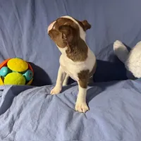 processed/f772d50e-a9ac-4998-8e29-d4d0b167a4e0/listing/349ad4c8-bce1-4356-87e1-732cd5780c6d/593238d3-3f64-4ce6-8ff9-40599a1464d7