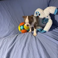 processed/f772d50e-a9ac-4998-8e29-d4d0b167a4e0/listing/349ad4c8-bce1-4356-87e1-732cd5780c6d/623d95bf-ca26-4cf1-9157-806b0c439ce0