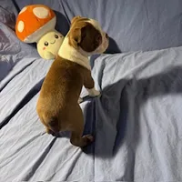 processed/f772d50e-a9ac-4998-8e29-d4d0b167a4e0/listing/47295f7a-a05b-47ac-aa26-668f4c26e863/1b2c253a-904d-4f8b-8e38-3489cc4ce12f