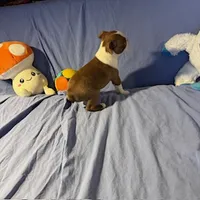 processed/f772d50e-a9ac-4998-8e29-d4d0b167a4e0/listing/47295f7a-a05b-47ac-aa26-668f4c26e863/521e1b63-e417-421d-a79b-66f9872a7c1b