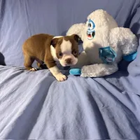 processed/f772d50e-a9ac-4998-8e29-d4d0b167a4e0/listing/47295f7a-a05b-47ac-aa26-668f4c26e863/5417b028-63f2-48e0-b7a0-3a3222868ab4