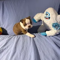 processed/f772d50e-a9ac-4998-8e29-d4d0b167a4e0/listing/47295f7a-a05b-47ac-aa26-668f4c26e863/acef2411-0e1c-42fa-be8e-1a3e56cc4b31