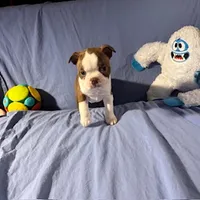 processed/f772d50e-a9ac-4998-8e29-d4d0b167a4e0/listing/47295f7a-a05b-47ac-aa26-668f4c26e863/f8482f88-60fe-4a77-8ea6-fef74a9c0605