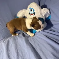 processed/f772d50e-a9ac-4998-8e29-d4d0b167a4e0/listing/47295f7a-a05b-47ac-aa26-668f4c26e863/f9e7fbac-88c0-4ca0-9af2-d01f3b7f142b