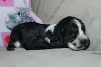 processed/f773a453-78cb-4583-a013-593187e16071/listing/132e3e89-43fd-4853-9f11-67d7d0f8dda6/2b87bee3-e31e-40f6-a043-69134313fc2e