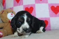 processed/f773a453-78cb-4583-a013-593187e16071/listing/132e3e89-43fd-4853-9f11-67d7d0f8dda6/4a5d3acb-baa6-4bcd-8d7b-05fbd92fcb31