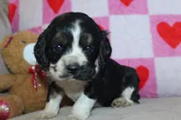 processed/f773a453-78cb-4583-a013-593187e16071/listing/132e3e89-43fd-4853-9f11-67d7d0f8dda6/be2a1a1c-c668-4c60-b839-beab3e109d16