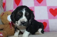 processed/f773a453-78cb-4583-a013-593187e16071/listing/132e3e89-43fd-4853-9f11-67d7d0f8dda6/f2f4e96c-7013-4928-9b79-a5ca006c12de