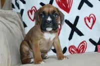 processed/f773a453-78cb-4583-a013-593187e16071/listing/15039e67-8a8c-4463-8fac-22255e8b5056/61621162-f981-4c79-a0ca-18ce0c07e1b4