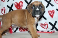 processed/f773a453-78cb-4583-a013-593187e16071/listing/15039e67-8a8c-4463-8fac-22255e8b5056/be522efe-0c37-4332-b9a9-0e740a018628