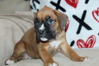 processed/f773a453-78cb-4583-a013-593187e16071/listing/15039e67-8a8c-4463-8fac-22255e8b5056/d479c5bf-16d4-451e-b728-acb1c9c93ee7