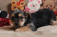 processed/f773a453-78cb-4583-a013-593187e16071/listing/158675c7-6f4e-4a6f-965b-e18dffd712c2/02143f56-2aa9-4f15-b42f-924ff5f7af99