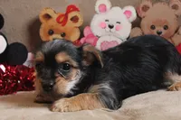 processed/f773a453-78cb-4583-a013-593187e16071/listing/158675c7-6f4e-4a6f-965b-e18dffd712c2/0f77e106-2e5e-4cb0-b41e-424d08d349c0