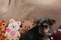 processed/f773a453-78cb-4583-a013-593187e16071/listing/158675c7-6f4e-4a6f-965b-e18dffd712c2/59b15a01-f02e-4a40-9572-f173424b33f4