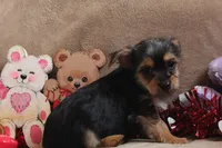 processed/f773a453-78cb-4583-a013-593187e16071/listing/158675c7-6f4e-4a6f-965b-e18dffd712c2/755c2fd5-f6f5-4371-8800-91853d9677dd