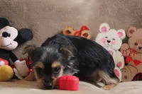 processed/f773a453-78cb-4583-a013-593187e16071/listing/158675c7-6f4e-4a6f-965b-e18dffd712c2/d27eae81-d9b0-4181-a4fe-88a147e01184