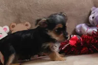 processed/f773a453-78cb-4583-a013-593187e16071/listing/158675c7-6f4e-4a6f-965b-e18dffd712c2/fa3c80ab-b0b3-48be-8232-f45a503c8b46