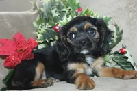 processed/f773a453-78cb-4583-a013-593187e16071/listing/2553d122-b7bc-44c0-b11b-7cf04f971886/144b7c09-5858-4491-a24c-c5e31c74de14