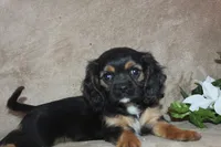 processed/f773a453-78cb-4583-a013-593187e16071/listing/2553d122-b7bc-44c0-b11b-7cf04f971886/2b490724-85e0-426e-8a62-fc570c6d29cc