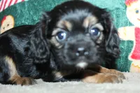 processed/f773a453-78cb-4583-a013-593187e16071/listing/2553d122-b7bc-44c0-b11b-7cf04f971886/4897538f-f266-448a-a9ff-e45df144dff7