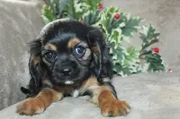 processed/f773a453-78cb-4583-a013-593187e16071/listing/2553d122-b7bc-44c0-b11b-7cf04f971886/4ada5fad-907f-4ba7-a493-9a01f25d7516