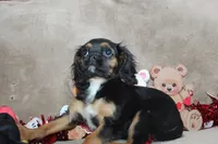 processed/f773a453-78cb-4583-a013-593187e16071/listing/2553d122-b7bc-44c0-b11b-7cf04f971886/67ed6868-a446-4c23-ab1b-78350ecf304a