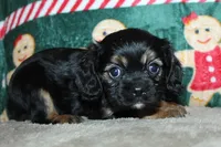 processed/f773a453-78cb-4583-a013-593187e16071/listing/2553d122-b7bc-44c0-b11b-7cf04f971886/84824403-fdd3-4096-8041-3433b4dbaa7c