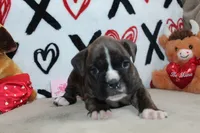 processed/f773a453-78cb-4583-a013-593187e16071/listing/523a3d9b-6604-46e6-bf62-b6377209b254/6ae9bad6-acb7-4267-9fdf-db7b8f6a5260