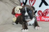 processed/f773a453-78cb-4583-a013-593187e16071/listing/523a3d9b-6604-46e6-bf62-b6377209b254/86e9e34e-dcbb-4886-9d5f-524e859306ff