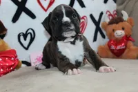 processed/f773a453-78cb-4583-a013-593187e16071/listing/523a3d9b-6604-46e6-bf62-b6377209b254/a875a25a-afa4-44fa-8b9d-1e50956b853d