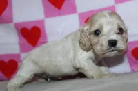 processed/f773a453-78cb-4583-a013-593187e16071/listing/57eba3d9-78a1-4980-a6ff-8356e9a7eca0/a457242a-ffbc-42ec-9aa6-5ef3a6653095