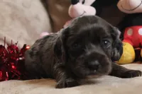 processed/f773a453-78cb-4583-a013-593187e16071/listing/66ca1575-b466-438e-81c8-74d44af841e1/16f60fa7-d978-4af8-8324-d838bf471d74