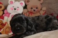 processed/f773a453-78cb-4583-a013-593187e16071/listing/66ca1575-b466-438e-81c8-74d44af841e1/359f2da1-8601-4535-9499-d990a1cd5b6e