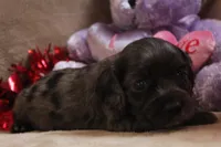 processed/f773a453-78cb-4583-a013-593187e16071/listing/66ca1575-b466-438e-81c8-74d44af841e1/9a6a015a-3e56-4bcc-bfd8-70c070aa064a