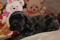 processed/f773a453-78cb-4583-a013-593187e16071/listing/66ca1575-b466-438e-81c8-74d44af841e1/ae63e420-c31d-499f-af58-c80f5e5a264f