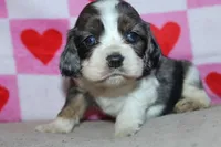 processed/f773a453-78cb-4583-a013-593187e16071/listing/69e25e7b-0983-4492-8ee4-a74c3c79a901/354d3f96-d38a-462c-a765-0f24e4f2cd6e