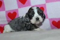 processed/f773a453-78cb-4583-a013-593187e16071/listing/69e25e7b-0983-4492-8ee4-a74c3c79a901/9e497435-4290-49bd-8eb4-50aedadc16d0